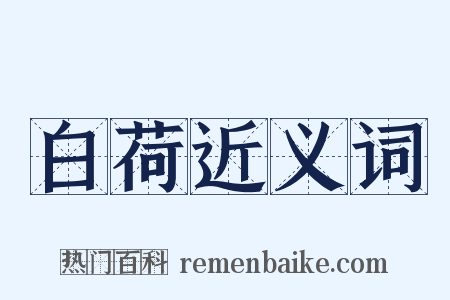 白荷近义词是什么意思的图片